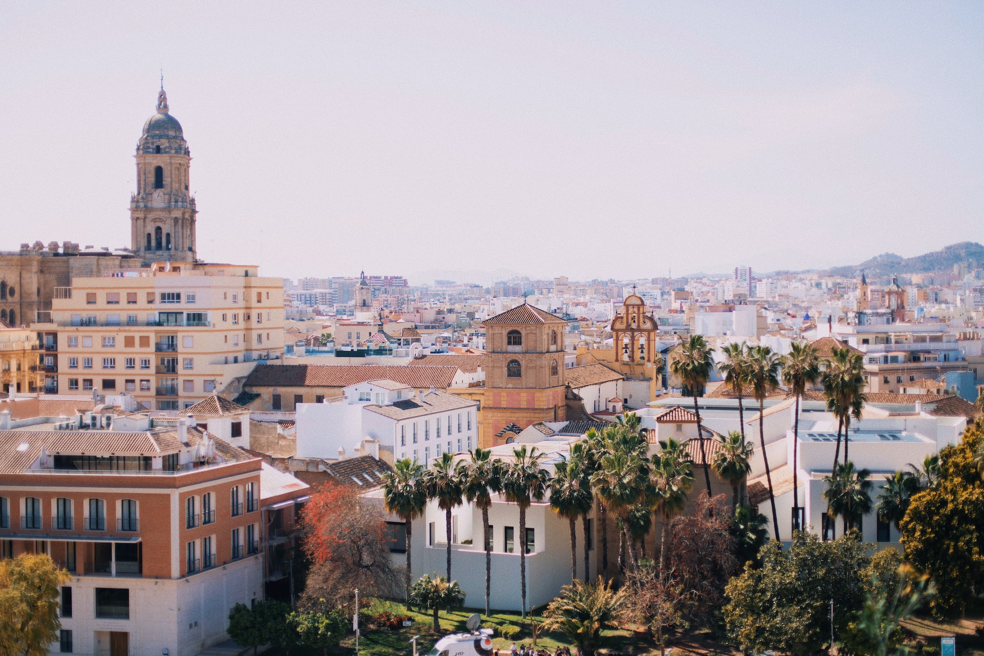 City rooftops with palm trees and a church tower in the sunlight